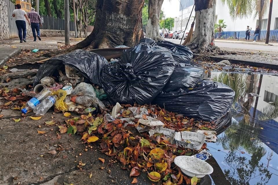 Mientras municipios del AMG incumplen esquemas de separacin de basura, regiones de Jalisco destacan por su gestin coordinada de stos.