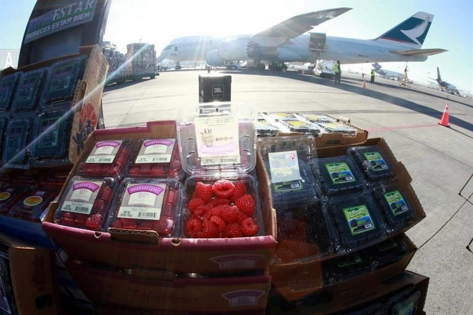 Jalisco participa con alrededor de 60 por ciento del volumen de exportación de berries.