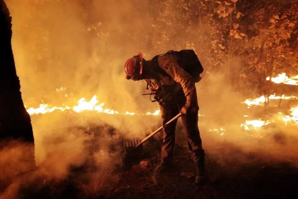 Los incendios forestales son considerados de las principales amenazas para el Bosque La Primavera.