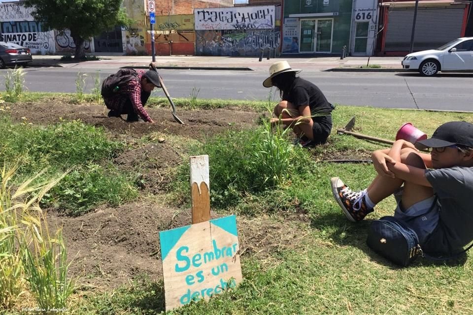 Para exigir respeto a su labor como agricultores urbanos, la agrupación Coamil realizará un festival por la libertad de expresión en el camellón de Avenida Federalismo.