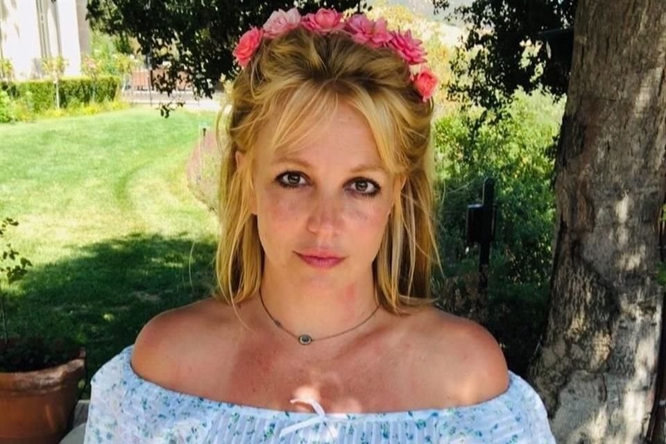 Britney Spears pidió en su nueva audiencia levantar cargos contra su padre, James Spears, por supuesto abuso durante su tutelaje.