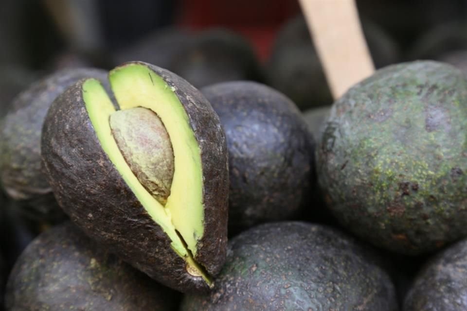Más de 15 mil toneladas de aguacate de Jalisco serán también protagonistas del Super Bowl en Estados Unidos, el evento deportivo más grande del país vecino.