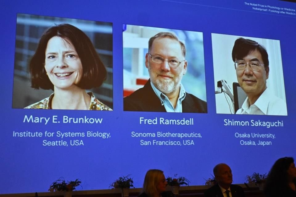 Mary E. Brunkow, Fred Ramsdell y Shimon Sakaguchi ganaron Nobel de Medicina por sus descubrimientos sobre la tolerancia inmune periférica.