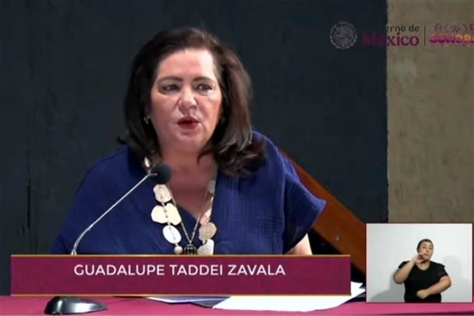 Taddei pidió darle a los OPLES las herramientas para responder a las demandas electorales actuales.
