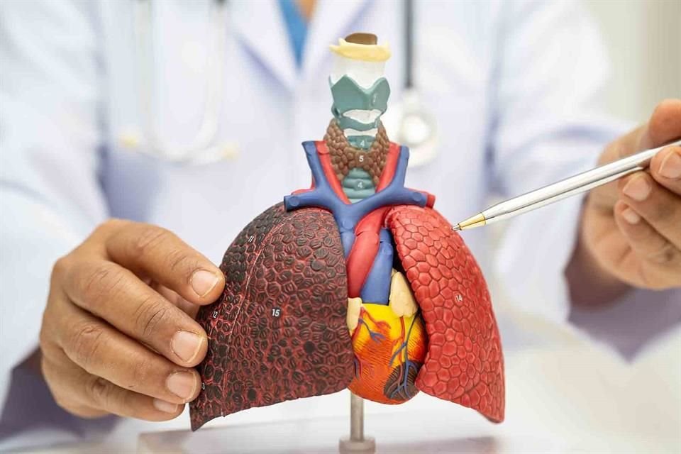 Advierte especialista por brote de Lesión Pulmonar Asociada al Vape (EVALI, en inglés), que surgió en 2019 y ha cobrado muertes.