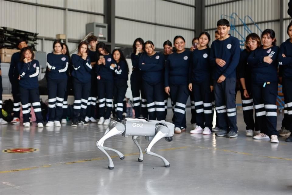 Two robot dogs, which cost Zapopan $800,000 and were to be used for security tasks, have been participating in more school exhibitions.