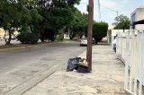 articulo relacionado