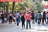 articulo relacionado