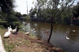 articulo relacionado
