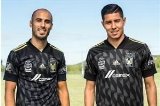 articulo relacionado
