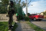 articulo relacionado