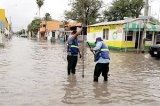 articulo relacionado