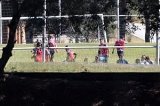 articulo relacionado