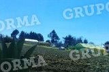 articulo relacionado