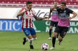 articulo relacionado