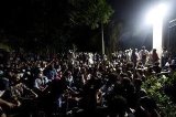 articulo relacionado