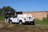 articulo relacionado
