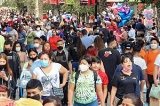 articulo relacionado