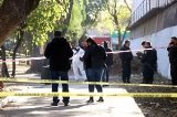 articulo relacionado