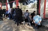 articulo relacionado