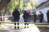 articulo relacionado