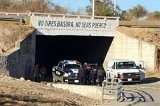 articulo relacionado