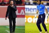 articulo relacionado