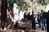 articulo relacionado