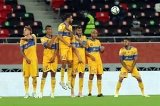 articulo relacionado