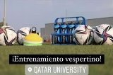 articulo relacionado