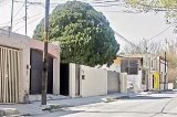 articulo relacionado