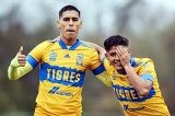 articulo relacionado