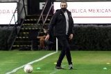 articulo relacionado