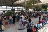 articulo relacionado