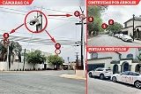articulo relacionado