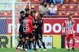 articulo relacionado