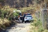 articulo relacionado