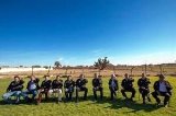 articulo relacionado