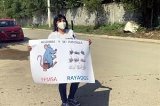 articulo relacionado