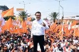 articulo relacionado