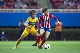 articulo relacionado