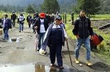 articulo relacionado