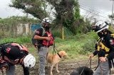 articulo relacionado