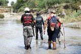 articulo relacionado