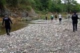 articulo relacionado