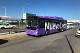 articulo relacionado