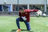 articulo relacionado