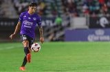 articulo relacionado