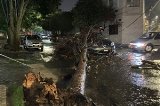 articulo relacionado