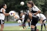 articulo relacionado
